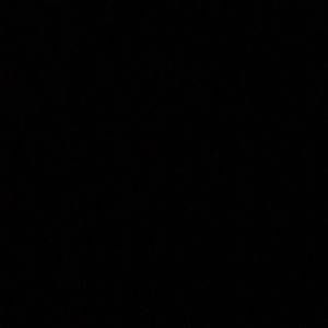 Meet your Posher, Van